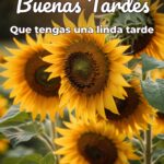 buenas tardes que tengas una linda tarde