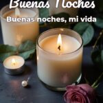 buenas noches buenas noches, mi vida