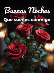 Frases para las buenas noches para mi novia para WhatsApp