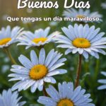 buenos días que tengas un día maravilloso