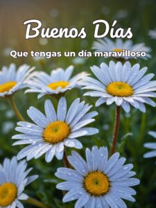 Frases para los buenos días para Facebook