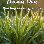 buenos días que hoy sea un gran día
