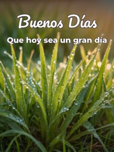 Frases para los buenos días para una amiga