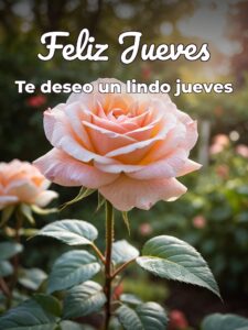 Frases para los jueves para celular descargar