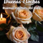buenas noches buenas noches, mi vida