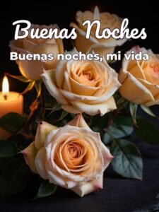 Frases para tu novia de buenas noches para celular