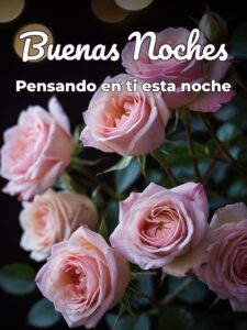 Frases para tu novia de buenas noches para WhatsApp