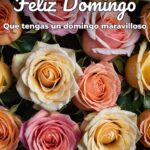 feliz domingo que tengas un domingo maravilloso