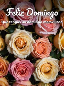 Frases para un buen domingo para celular