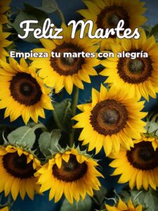 Frases para un buen martes para descargar gratis para celular