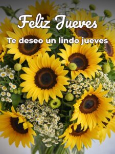Frases positivas para hoy jueves