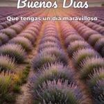 buenos días que tengas un día maravilloso