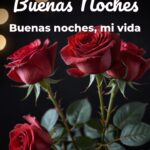 buenas noches buenas noches, mi vida