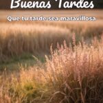 buenas tardes que tu tarde sea maravillosa