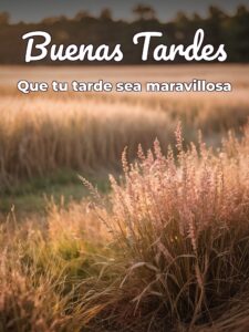 Frases romanticas de buenas tardes para Facebook y WhatsApp