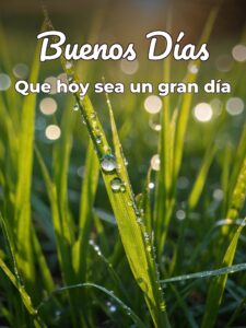 Frases romanticas de buenos días para celular