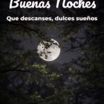 buenas noches que descanses, dulces sueños