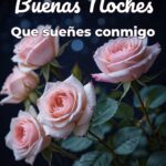 buenas noches que sueñes conmigo