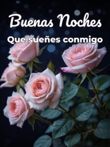 Frases romanticas para mi novia de buenas noches para celular