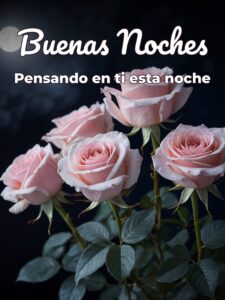 Frases romanticas para mi novia de buenas noches para Facebook