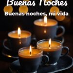 buenas noches buenas noches, mi vida