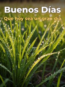 Frases se buenos días para descargar