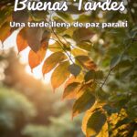 buenas tardes una tarde llena de paz para ti