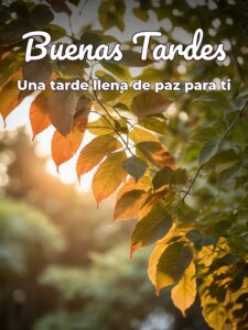 Frases tarde para Facebook y WhatsApp
