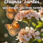 buenas tardes que tengas una linda tarde