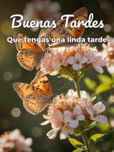 Gifs animados buenas tardes para WhatsApp celular