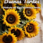 buenas tardes disfruta de esta hermosa tarde