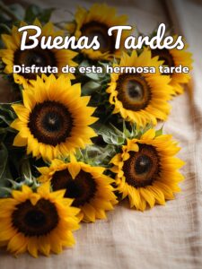 Gifs animados de buenas tardes para WhatsApp celular