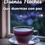 buenas noches que duermas con paz