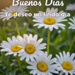 buenos días te deseo un lindo día