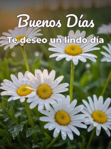 Google frases de buenos días