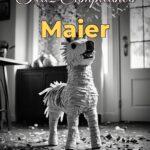 feliz cumpleaños maier