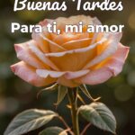 buenas tardes para ti, mi amor