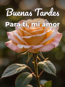 Hola buenas tardes amor para Facebook y WhatsApp