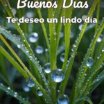buenos días te deseo un lindo día