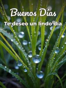 Hola buenos días imágenes para celular