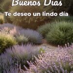 buenos días te deseo un lindo día