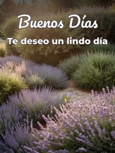 Hola buenos días imágenes para Facebook