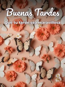 Hola muy buenas tardes para Facebook y WhatsApp
