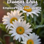 buenos días empieza tu día con alegría