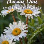 buenos días empieza tu día con alegría
