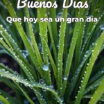 buenos días que hoy sea un gran día