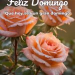 feliz domingo que hoy sea un gran domingo