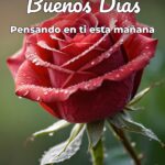 buenos días pensando en ti esta mañana