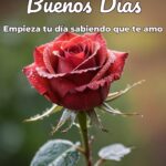 buenos días empieza tu día sabiendo que te amo