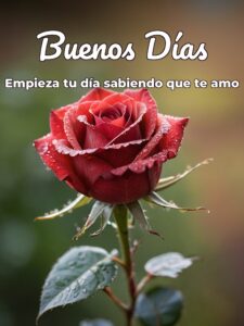 Imagene de buenos días amor para mi amor